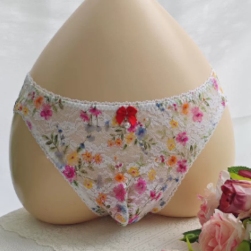 Embroidery Embellishments - Culotte en dentelle transparente sexy pour